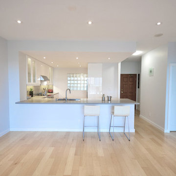 White Modern Kitchen