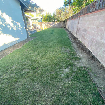 BEFORE-New Artificial Grass in Encino