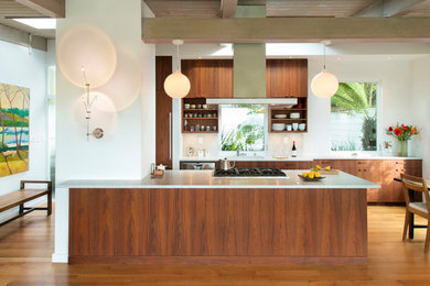 Example of a mid-sized 1960s kitchen design in San Francisco