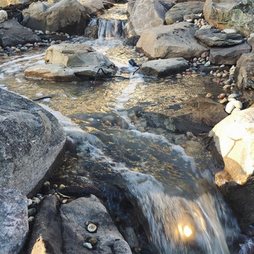 Hardscape Highlights
