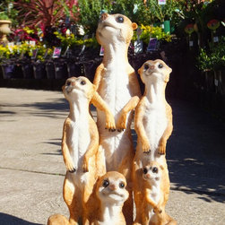 Garden Centre - Plants