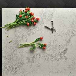 Ciot | CAESARSTONE Collection - Kitchen Countertops