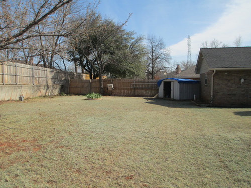 My Backyard Needs An Entire Makeover Help