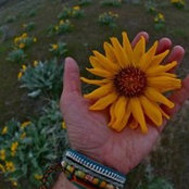 Foto von Donna Hall Carrithers