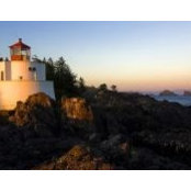 Western Forex's photo