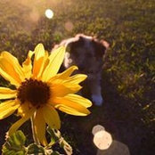 Kristy Klein's photo