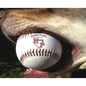 Home Plates foto