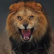 Susan Pachner's photo