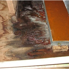 Nettleton Water Damage Experts