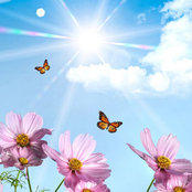 Sep Foroutani's photo