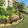 Solis and Son Landscaping