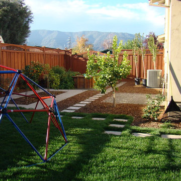Back yard play area and fruit trees