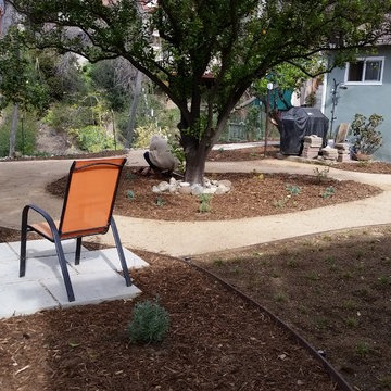 California Native Landscape