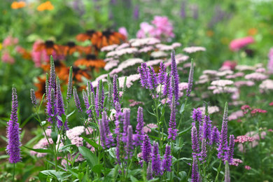 Photo of a landscaping in New York.