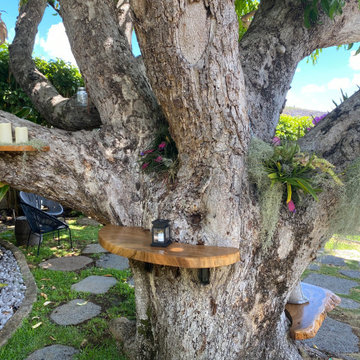 100 Year Old Tree Bench