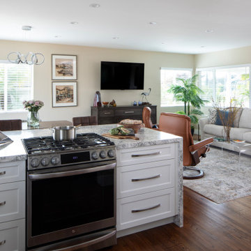 Redondo Beach Full kitchen & Home Remodel