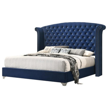 Coaster Melody Eastern King Wingback Velvet Upholstered Bed Pacific Blue