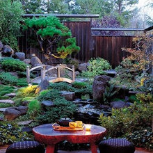 Backyard and Japanese Garden