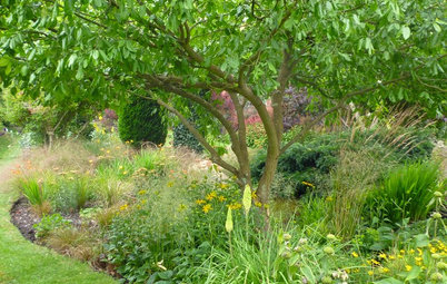 A Beginner’s Guide to Adding Trees to Your Garden