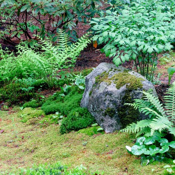 Moss Garden
