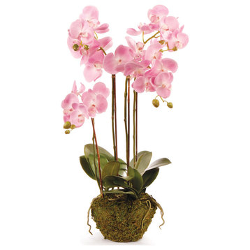 Realistic Phalaenopsis Orchid Drop-In with Root Ball, 30"