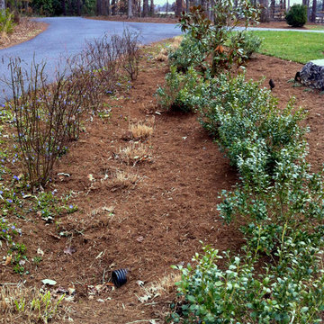 Northern Albemarle County, VA: Deer Out, People & Plants In