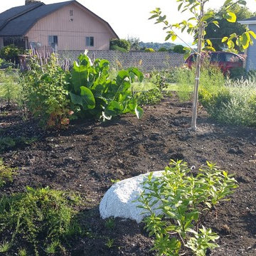 Edible Front Yard