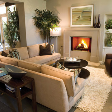 Living Room Fireplaces