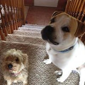 Renee Trawick's photo
