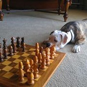 John Jaen's photo