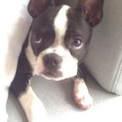 Arturo Blanco's photo