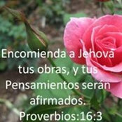 Foto von Lisanny Moran