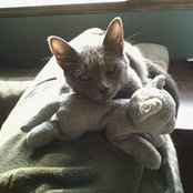 Jill Kukla's photo