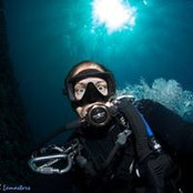 Russell Lemasters's photo