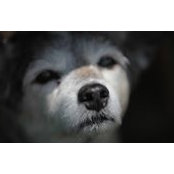 Bettina Stelle's photo