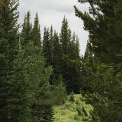 Angela Mueller's photo