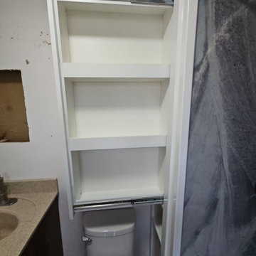 Sargent shower and cabinet