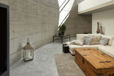 Trendy open concept concrete floor living room photo in Denver with white walls