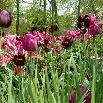 Garden Vistas