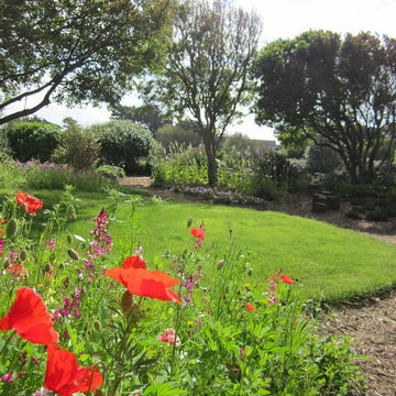 Bee and Butterfly garden