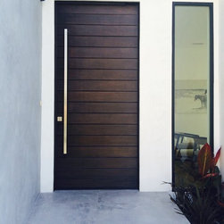 Contemporary Doors Works! - Front Doors
