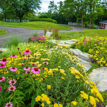 Backyard Pool, Patio, Perennials, and FUN in Barrington, IL