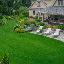 Backyard Plantings