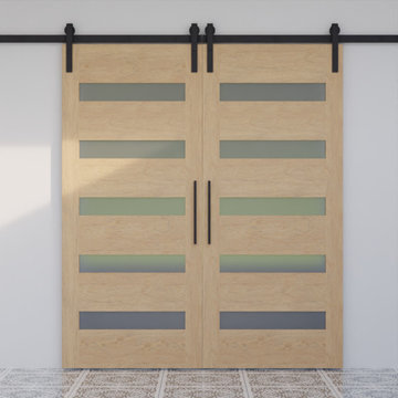 The New Narrows Barn Door Design