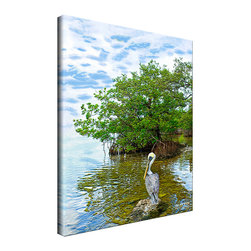 Ready2HangArt - Ready2HangArt Bruce Bain 'Pelican' Canvas Wall Art - Prints And Posters