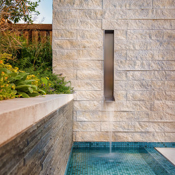 Resort Modern in Frisco TX