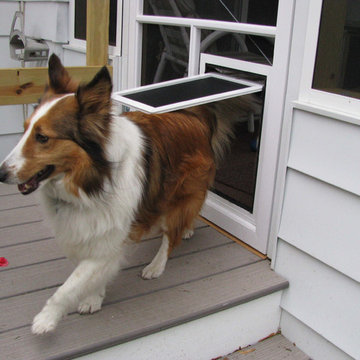 Custom Dog Doors