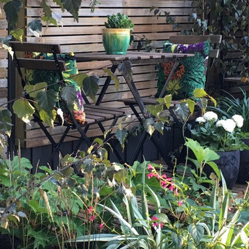 The Picking Garden