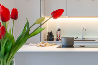 Ispirazione per una grande cucina moderna con lavello da incasso, ante bianche, top bianco e soffitto a cassettoni