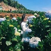 Long Lanh Linh's photo
